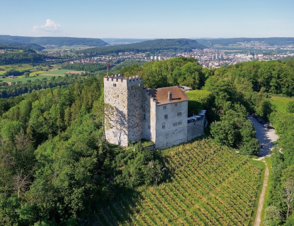 1020년 합스부르크가의 시조인 라트보트 백작이 하비히츠부르크에 성을 쌓고 통치하면서 비로소 합스부르크 가문이 시작되었습니다. 오늘날에도 남아 있는 합스부르크 성입니다.